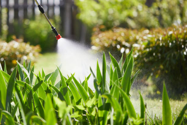 24/7 Emergency Mosquito Control experts in Flora Vista, NM